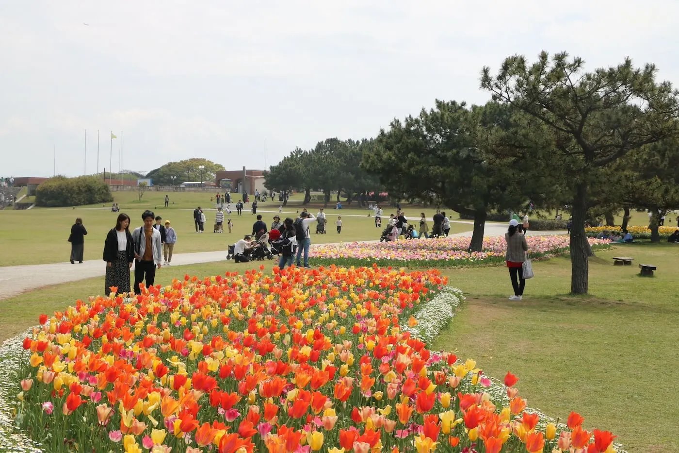 🏞️ 후쿠마 어항 해변공원 (후쿠마교코카이힌코엔) 이미지 5